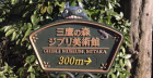Musée Ghibli 