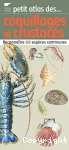 Petit atlas des coquillages et crustacés