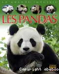 Pandas (Les)