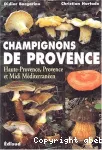 Champignons de Provence