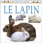 Lapin (Le)